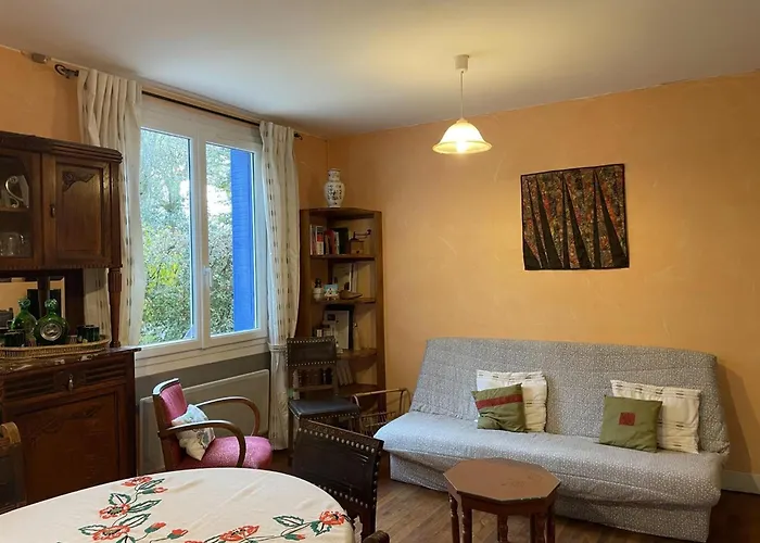 Avec Terrasse, Animaux Acceptés - Fr-1-489-41 Hébergement de vacances *